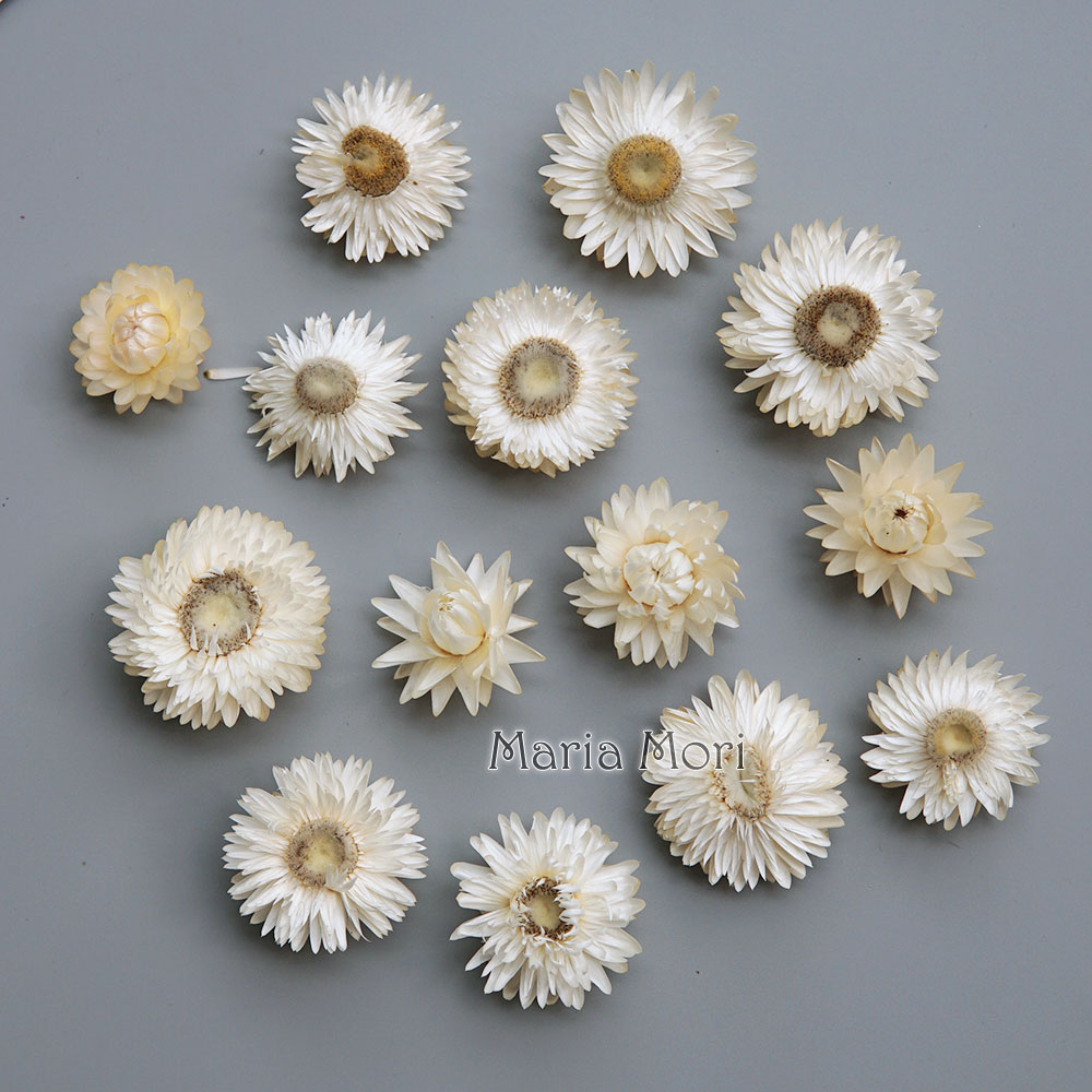 Candle Making Supplies Online - 天然のドライでカラフルな菊の花輪,手作りのヘアアクセサリー,樹脂製品,アロマテラピーキャンドル