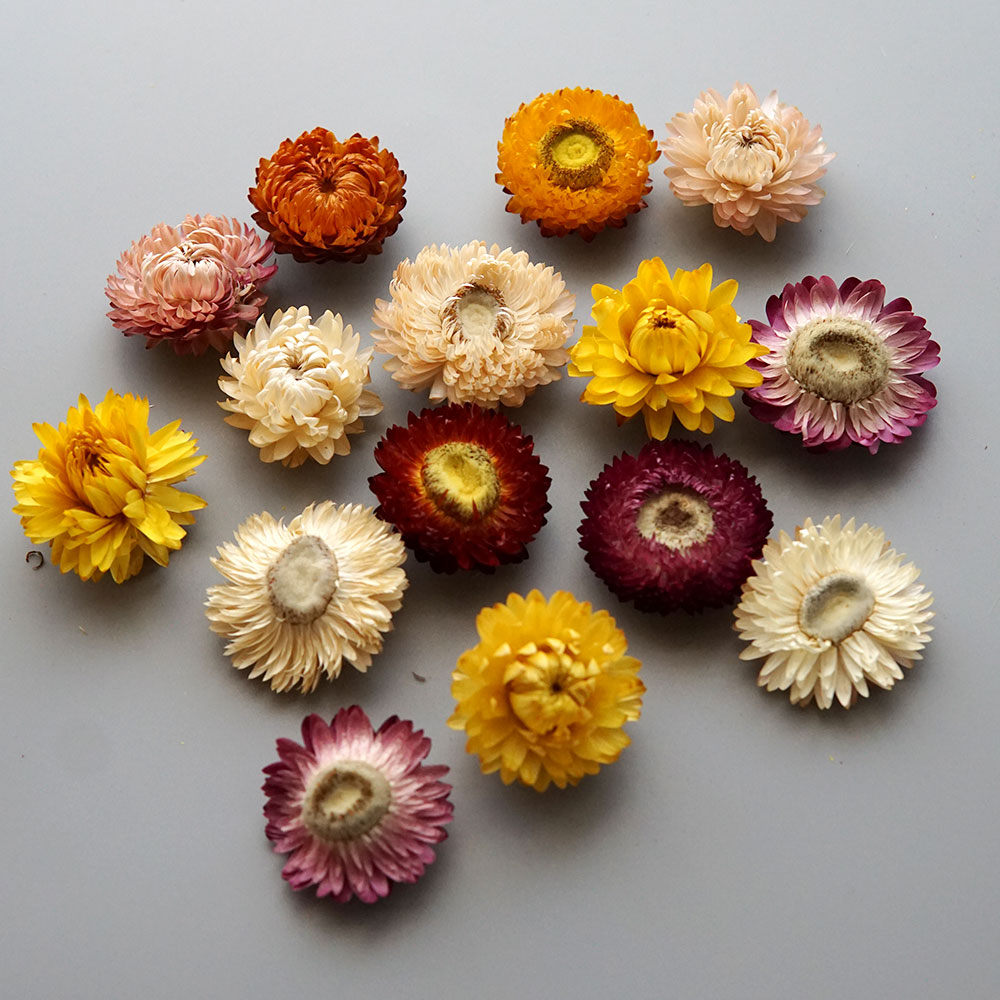 天然のドライでカラフルな菊の花輪,手作りのヘアアクセサリー, - Candle Making Supplies Online のレビューと価格