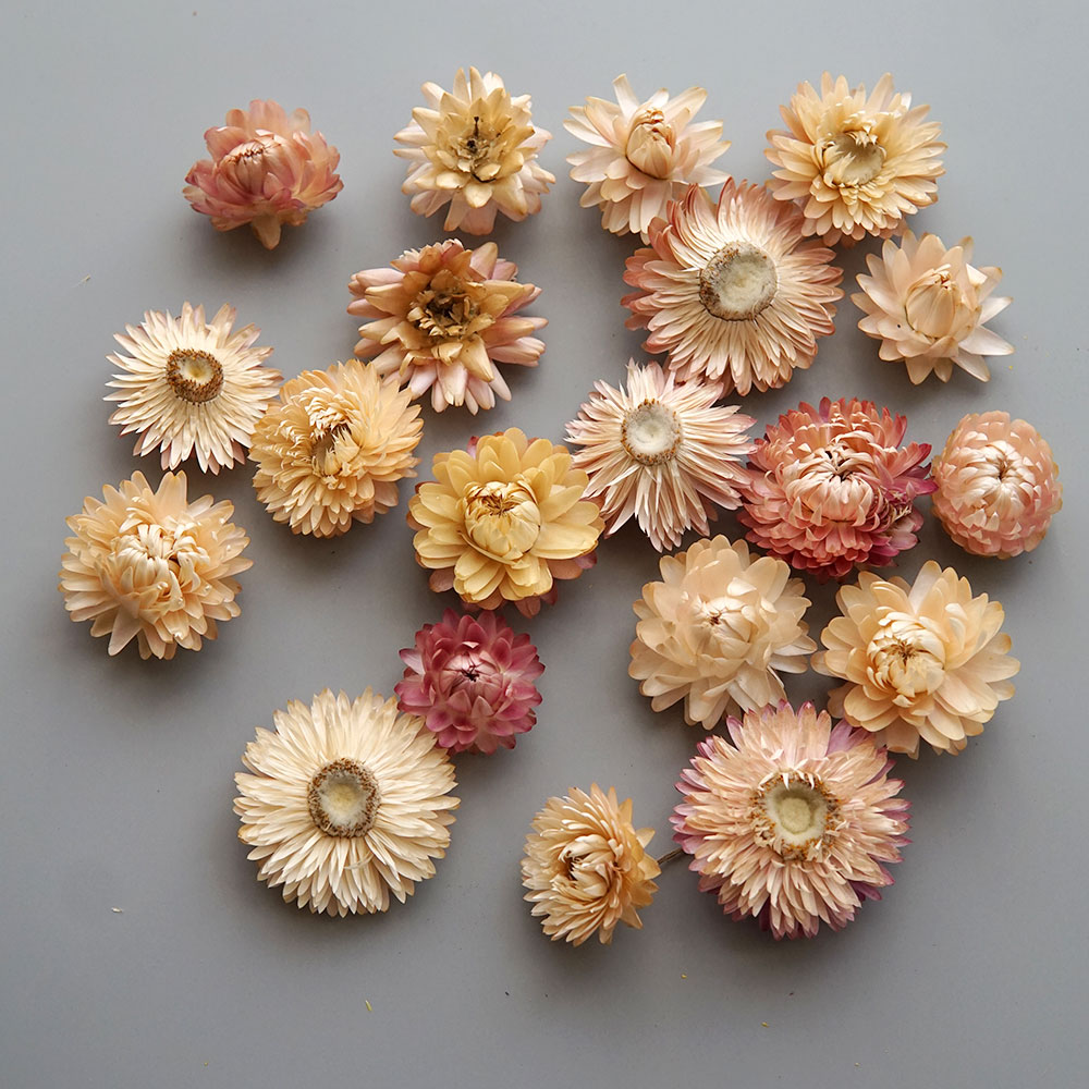 天然のドライでカラフルな菊の花輪,手作りのヘアアクセサリー, - Candle Making Supplies Online のレビューと価格